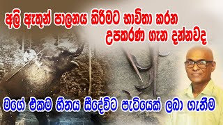 උපාධියෙන් ලැබූ රැකියාව පසකලා අලි ඇතුන් වෙනුවෙන් තම ජීවිතය කැප කරන අපූරුතර මිනිසා වරැණ #HELADEEPATV