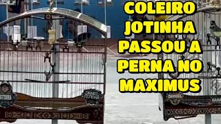 COLEIRO JOTINHA PASSOU A PERNA NO MAXIMO DESSA VEZ