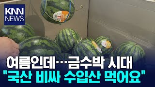 수박마저 '금수박'? 폭등하는 과일 가격의 비밀 / KNN