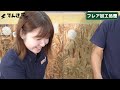 【貴重映像！？】エアコン女子が掛け繋ぎ（右横下ver）に挑戦！｜でんきの学校