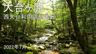 【大台ヶ原（西大台）】利用調整地区