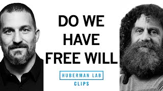 Do We Have Free Will? | Robert Sapolsky & Andrew Huberman