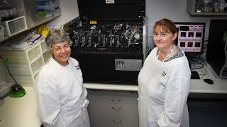 Researchers discover new way to monitor leukaemia
