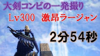 Lv300 激昂ラージャン一発撮り！大剣コンビの２分５４秒【モンハンサンブレイク】