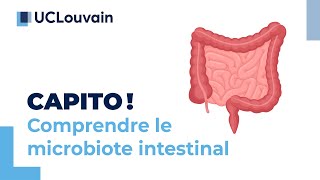 Capito! - #14 - Comprendre le microbiote intestinal