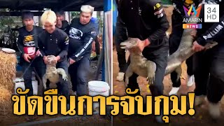 ตัวเหี้ยบุกบ้านดุจัดฟาดหางใส่ทีมอสรพิษ | ข่าวเที่ยงอมรินทร์ | 27 เม.ย.66