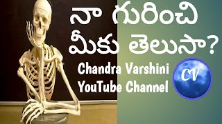 మనిషి శరీరం ఎముకల గూడు|మెదడు కుడిఎడమైతే?|రక్త నాళాల పొడవు ఇన్ని మైళ్ళా?|పాదం ఎముకలు ఇంత బరువా?