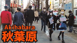 [秋葉原散歩] Walk in Akihabara (Jan. 2022#5) 月末土曜昼過ぎの秋葉原電気街口周辺を歩く