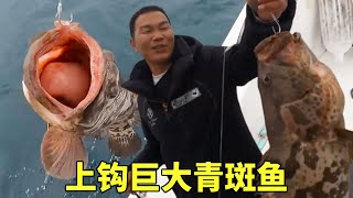 大鋒子和老板出海釣魚，沒想到釣到一條深海巨大石斑魚，全船興奮。 #釣魚#海釣#出海#石斑魚