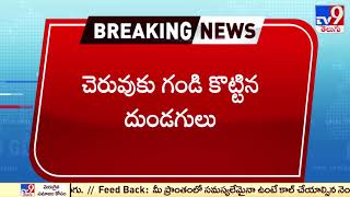 Kadapa : బయనపల్లె చెరువుకు గండి కొట్టిన దుండగులు - TV9