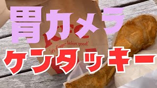 胃・大腸検査で数日 チキンを禁止されたあとのケンタッキーは狂うほど美味しいに決まってる