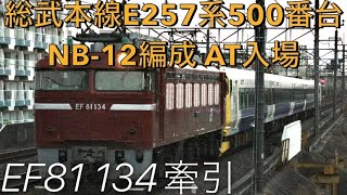 【列車配給】配9722レ 総武本線E257系500番台NB-12編成 AT入場 EF81 134牽引 @南流山【#147 2021-12-23】