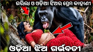 ଗରିଲା ଏବଂ ଝିଅର ପ୍ରେମ କାହାଣୀ | King Kong Love Story in Odia | King Kong girl Pregnant | Odia story