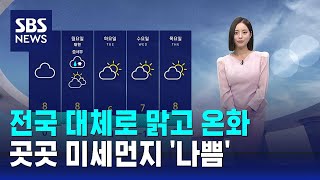 [날씨] 전국 대체로 맑고 온화…곳곳 미세먼지 '나쁨' / SBS