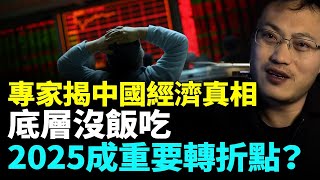 高善文最新重磅發聲；付鵬揭露殘酷真相 ；中國經濟泡沫已破滅；2025年或成轉折點#睇大陸