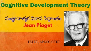 #MSWorld|| సంజ్ఞానాత్మక వికాస సిద్దాంతం - Cognitive Development Theory జీన్ పియాజే||