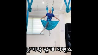 #플라잉요가 몽키락 날개 시퀀스