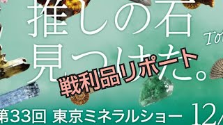 2024東京ミネラルショー戦利品レポート　購入した鉱物たち