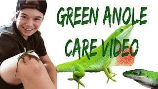 ANOLE CARE VIDEO