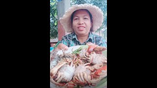 ក្ដាមចំហុយទឹកដូង[Steamed Crab in Coconut Water]បែបស្រុកស្រែ