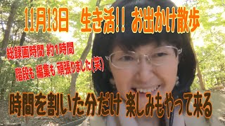 2024.11.13  生き活！！【お出かけ兼散歩 長編(笑)  歩く距離が長い程 楽しいことも沢山  スッキリ晴れた日の外出は最幸！】#ステージ4 #乳がん #50代 #自分時間#笑顔#感謝#幸せ