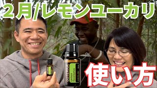 【使い方】レモンユーカリ(15ml)2024年2月のPOM(ポム)