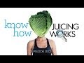 Know How Juicing Works: Juicers vs. Blenders, Shelved Juice is Dead, Recipies & Health [HD]