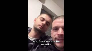 vaso bakocevic i seksi uradjeni na maks