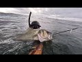 spearfishing unlucky sea bass