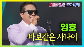 영호 - 바보같은 사나이 #2024영동포도축제 #피날레공연