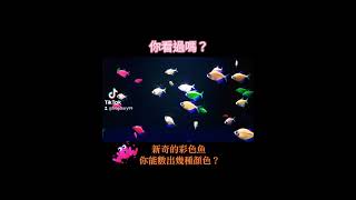 神奇的彩色螢光魚～你能數出幾種顏色？