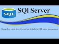Change font color, size, style and use defaults in SQL server management