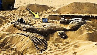 Archaeologists Dug Up a Californian Sand Dune and What They Discovered Left Them Speechless