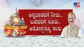 Karnataka Budget 2022:  ಬೊಮ್ಮಾಯಿ ಬಜೆಟ್​ನಲ್ಲಿ ಸರ್ವರಿಗೂ ಸಮಪಾಲು!