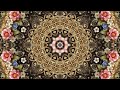 charming and mesmerizing floral kaleidoscope with butterflies background 016