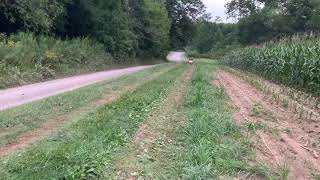 Kiddo race. Shy quad Bryce dirt bike