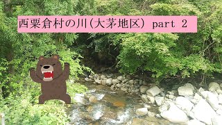 西粟倉村の山根です♪　西粟倉村大茅地区の川　part　Ⅱ