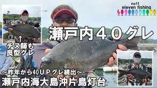 瀬戸内海大島沖片島の藤谷渡船でのグレ釣り～瀬戸内40ＵＰグレブーム火付け役の磯！片島灯台！～