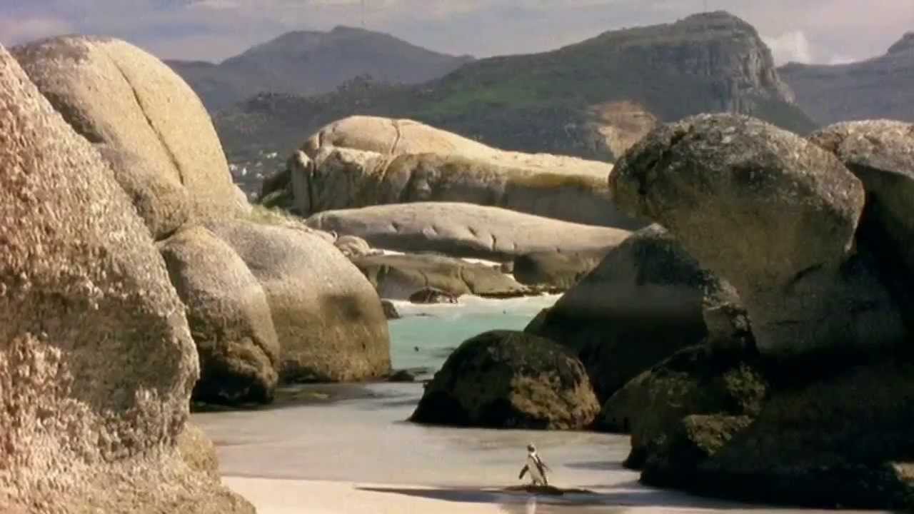 Earth Story Top Documentary Films Top Documentary Films