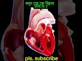 see the beating heart বলুন তো কে বিশ্রাম নেয় না youtubeshorts shorts trendingshorts facts