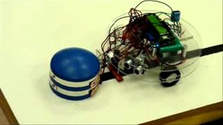 Tamuk robotics-2011.wmv