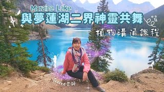 與夢蓮湖二界神靈共舞 植物溝通課程｜Joanne老師