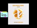 Golan Zocher & Choopie - Fine Twist (Dmitry Molosh Remix)