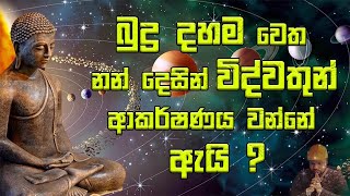 බුදු දහම වෙත නන් දෙසින් විද්වතුන් ආකර්ෂණය වන්නේ ඇයි