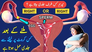 Humbistari K Baad Kis Taraf Laitne se Jaldi Hamal Hota Hai |Tips To Get Pregnant Fast |dr tahir