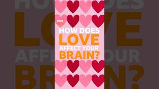 What does being in love do to your brain? ❤ #Shorts #Love #BBCIdeas