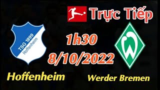 Soi kèo trực tiếp Hoffenheim vs Werder Bremen - 1h30 Ngày 8/10/2022 - vòng 9 Bundesliga