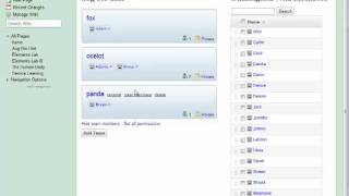 Projects: Introduction