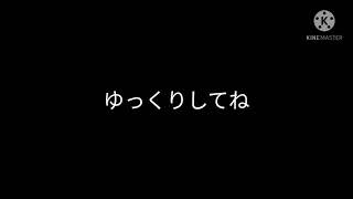 【第1回自分の本気を超えろ!東方PV、MV大会】マフィア