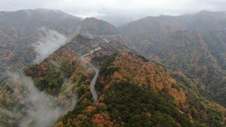 [Drone View]경북울진 구주령고개 상부길 가을풍경 드론영상 기록 1080FHD [Autumn view record of Gujuryeong road by Drone]